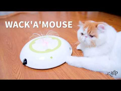 Interactive Cat Wack 'A' Mouse