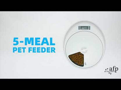 All For Paws  5Meal Pet Feeder