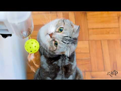 Interactive Cat Treat Dispenser