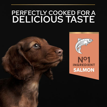 PURINA® Pro Plan® Sensitive Skin Small & Mini Puppy Dry Dog Food with Salmon