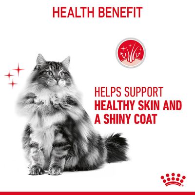 Royal Canin Feline Care Nutrition Hair & Skin Gravy Wet Cat Food Pouch, 85g