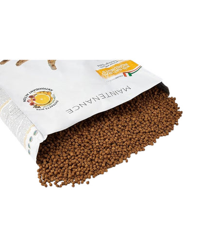 Schesir Cat Dry Food Maintenance with Chicken Adult