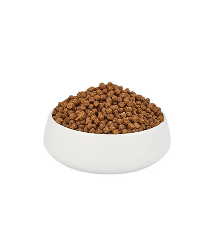 Schesir Cat Dry Food Maintenance with Chicken Adult