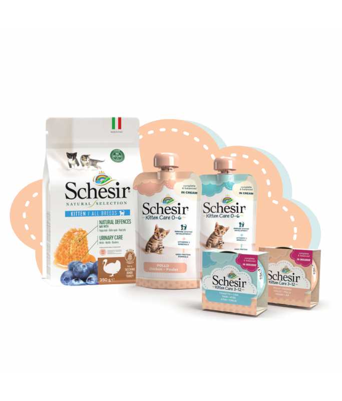 Schesir Kitten Care Wet & Dry Food Kit, 820g