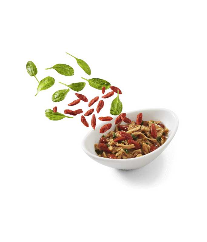 Schesir Salad Cat Can Chicken with Gojiberries and Spinach, 85g