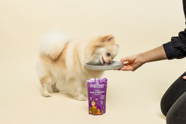 Little Big Paw Tender Duck & Vegetable Dinner, 150g pouch