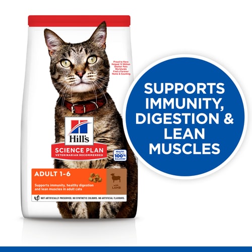 Hill’s Science Plan Adult Cat Dry Food With Lamb