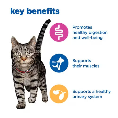 Hill’s Vet Essentials Multi-Benefit Adult Dry Cat Food