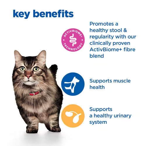 Hill’s Vet Essentials Multi-Benefit + Digestion Adult Cat Dry Food with Salmon