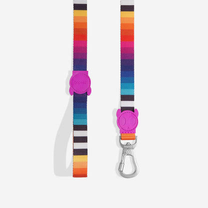 Zee.Dog Prisma Leash