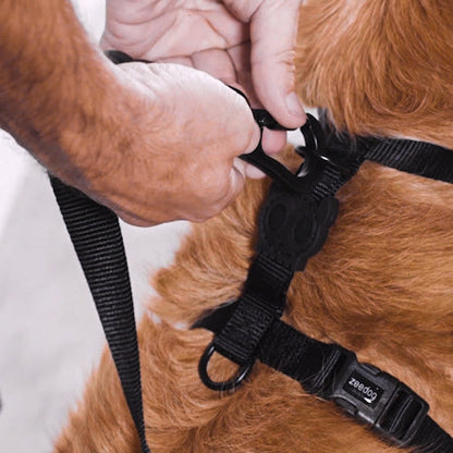 Zee.Dog Honey H-Harness