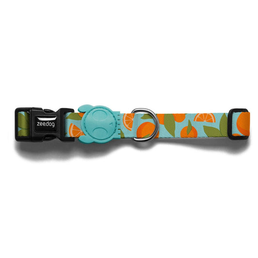 Zee.Dog Florida Collar Large