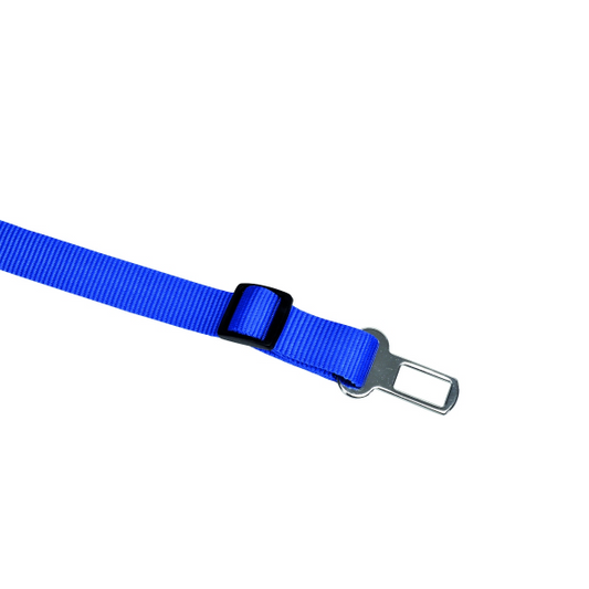 Camon Safety Leash- 25mm