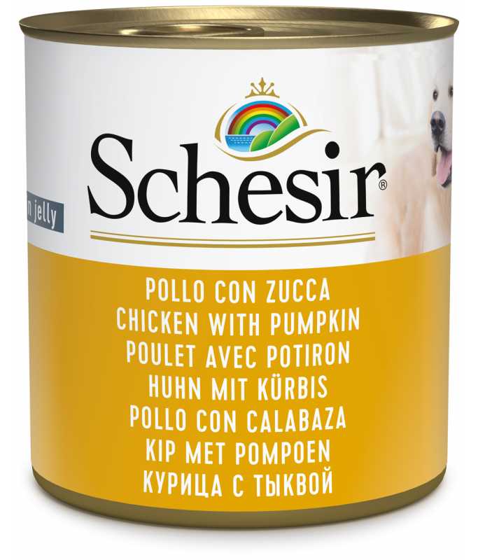 Schesir Dog Wet Food Chicken With Pumpkin in Jelly, 285g